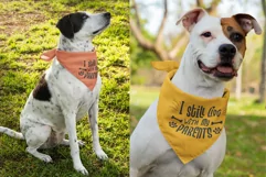 Live With My Parents Dog Bandana SVG Pet Design Cricut DIY