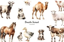 Watercolor domestic animal clipart. Livestock clipart Product Image 1