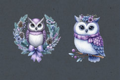 Cute Winter Owls. PNG sublimation Product Image 3