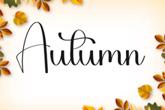 Loading Product Image 7