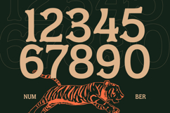 Locatro - Western Display Typeface Font Product Image 9