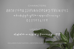 Lofthouse Script Product Image 10