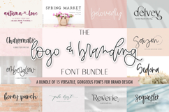 The Logo &amp; Branding Font Bundle Product Image 1