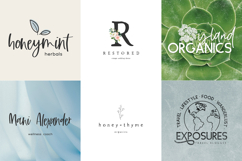 The Logo &amp; Branding Font Bundle Product Image 2