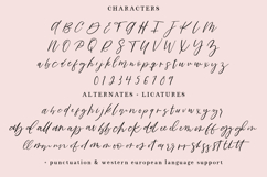 Lone Memory Script Product Image 10