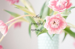 Lone Memory Script Product Image 9