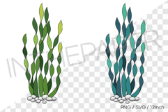 long and soft seaweed SVG PNG Clipart green Aquatic plant Product Image 1