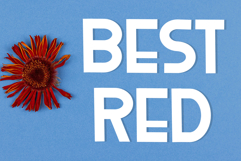 Long Time Product Image 5