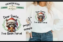 Feral Raccoon with Ginger| PNG Design for Sublimation or DTF Product Image 2