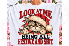 Look at Me Being All Festive and Shit PNG | Funny Grumpy Chr Product Image 1