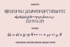 Looking Glass Script Product Image 10