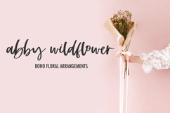 Looking Glass Script Product Image 3