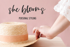 Looking Glass Script Product Image 5