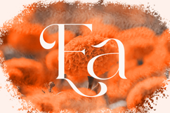 Lorestta // Elegant Luxury Serif Product Image 11