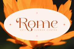 Lorestta // Elegant Luxury Serif Product Image 8