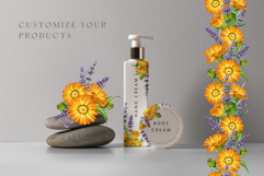 Apothecary Herbs Illustration Set Product Image 14