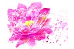 Lotus Flower Watercolor Product Image 3