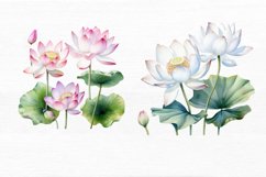 Lotus Flowers Watercolor Sublimation Clipart Product Image 7