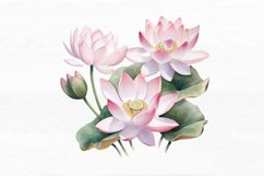 Lotus Flowers Watercolor Sublimation Clipart Product Image 4