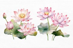 Lotus Flowers Watercolor Sublimation Clipart Product Image 6