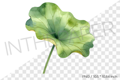lotus Leaf Tropical Summer Clipart Watercolor Illustration Product Image 1