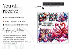 Valentines Day clipart, Owls couple Clipart, Birds png Product Image 3