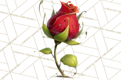 Romantic Valentine Florals PNG Clip Art, Roses, Peonies Png Product Image 2