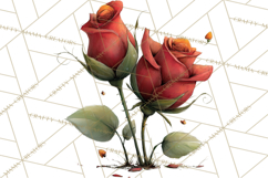 Romantic Valentine Florals PNG Clip Art, Roses, Peonies Png Product Image 3
