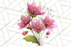 Romantic Valentine Florals PNG Clip Art, Roses, Peonies Png Product Image 2