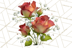 Romantic Valentine Florals PNG Clip Art, Roses, Peonies Png Product Image 4