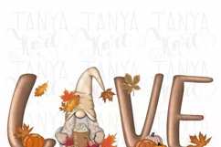 Sublimation Designs | Love Gnome | Fall Png | Garden Gnome Product Image 7