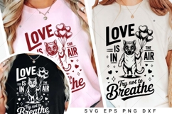 Love is in The Air Try Not To Breathe SVG PNG, Funny Cat Product Image 7