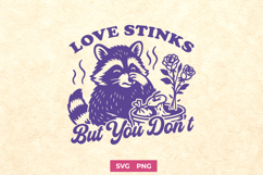 Love Stinks But You Don’t SVG PNG, Funny Raccoon Valentine Product Image 1