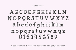 Lovelier Typewriter Serif Font Product Image 10