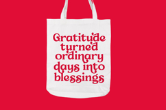 Loyale Rosell - Modern Serif Display Product Image 8