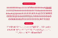 Loyale Rosell - Modern Serif Display Product Image 19