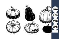 Various pumpkin vector illustrations with different shapes a Product Image 1