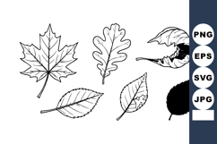 Collection of Various Leaf Outlines Vector Illustration with Product Image 1
