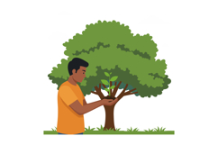 Man Planting Small Tree Outdoors Near Large Green Tree Envir Product Image 1