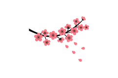 Cherry blossom branch with pink flowers and falling petals v Product Image 1