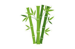 Bamboo Plant Green Stalks and Leaves Vector Illustration for Product Image 1