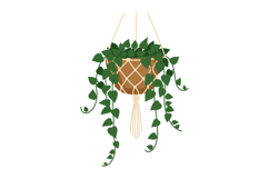 Hanging houseplant with green leaves in macrame pot holder v Product Image 1