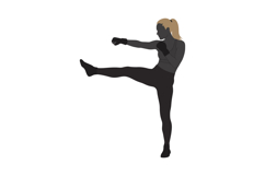 Woman practicing martial arts high kick silhouette vector wi Product Image 1