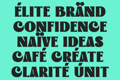 Lucentia - Modern Bold Display Typeface Product Image 9