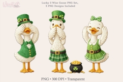 Lucky 3 Wise Goose PNG Set St Patrick Faux Yarn Clipart Product Image 2