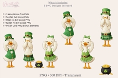 Lucky 3 Wise Goose PNG Set St Patrick Faux Yarn Clipart Product Image 3