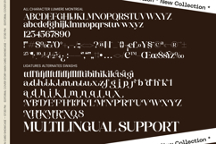 Lumiere Montreal - Modern Contemporary Serif Product Image 10