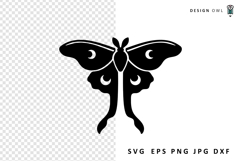 Celestial moth for cricut