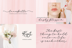 Whimsical Script Font Mini Bundle Product Image 3