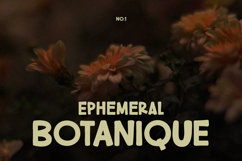 Luthgy Handmade Display Font Product Image 2